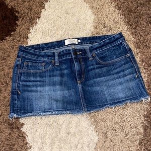 Abercrombie and Fitch Skirt
